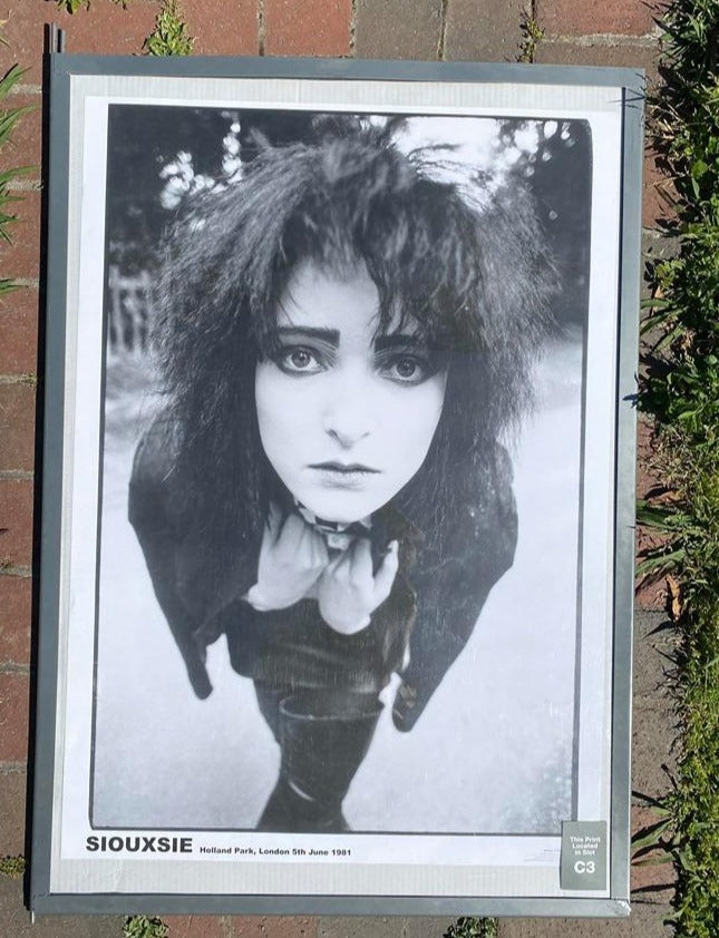 Siouxsie and the Banshees Poster