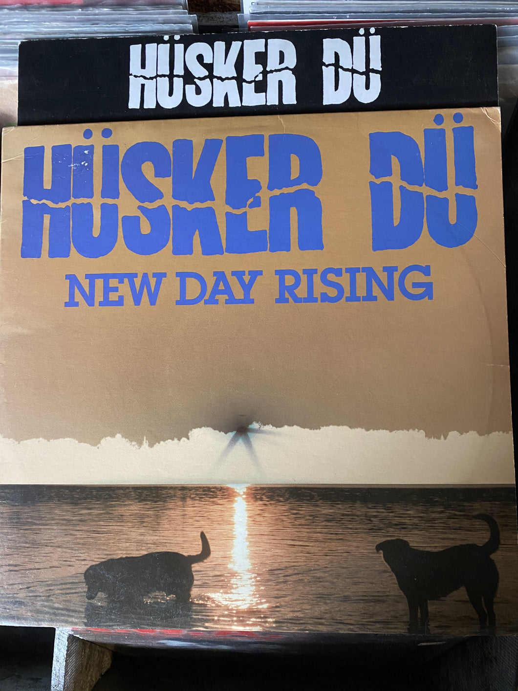 Husker Du - New Day Rising