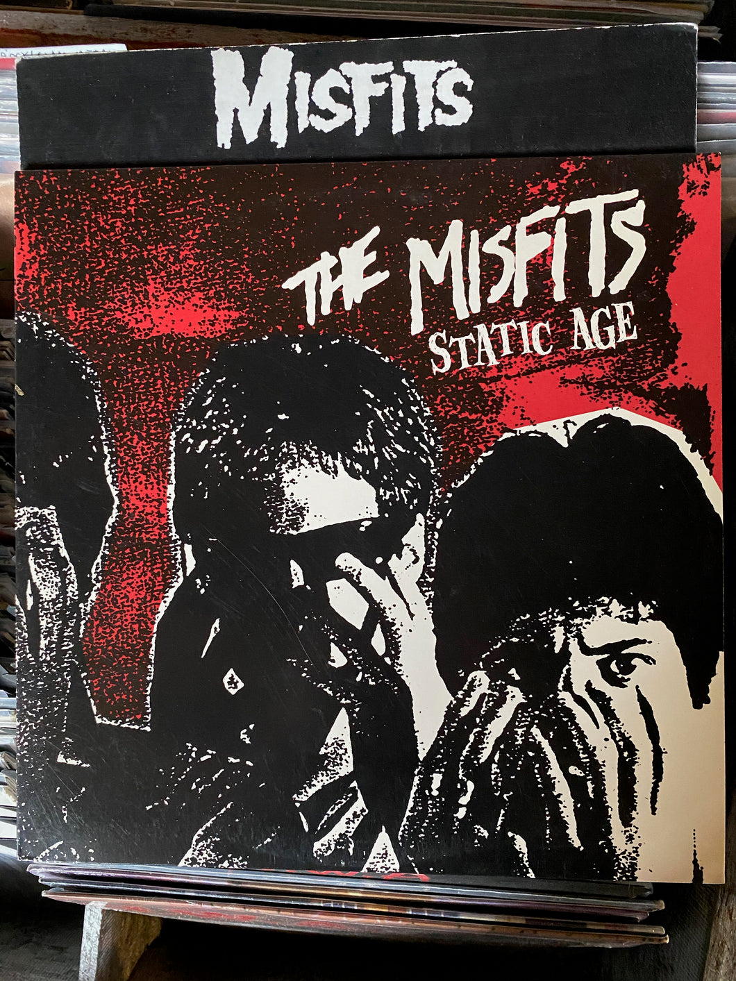 The Misfits - Static Age