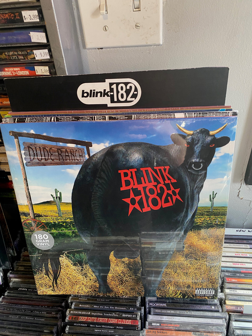 Blink 182 - Dude Ranch